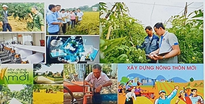 Phong trào Nông dân thi đua sản xuất kinh doanh giỏi - động lực cho nông dân vượt khó làm giàu (12/09/2022)